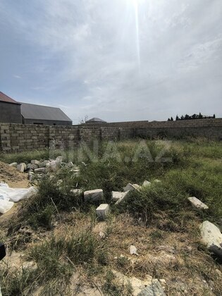 Torpaq Novxanı q., Bakı