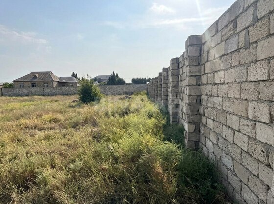 Torpaq Nardaran q., Bakı