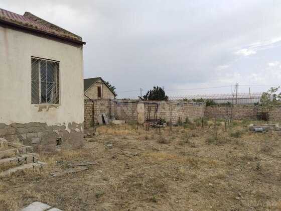 Torpaq Zirə q., Bakı
