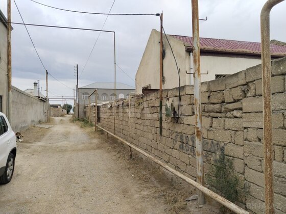 Torpaq Zirə q., Bakı