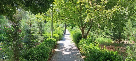 3 otaqlı Köhnə tikili, 7-ci mikrorayon q., Bakı
