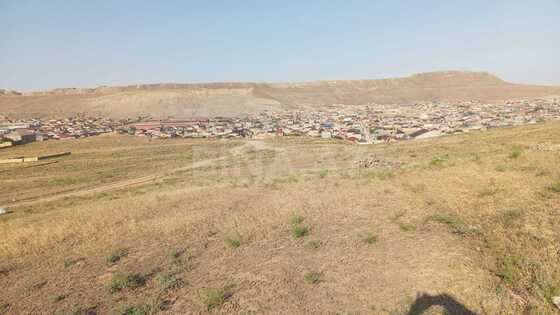 Torpaq Qobu q., Bakı