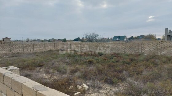 Torpaq Nardaran q., Bakı