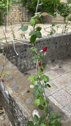 3 otaqlı Həyət evi/Bağ evi, Novxanı q., Bakı