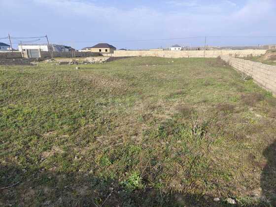 Torpaq Nardaran q., Bakı