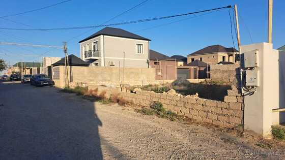 Torpaq Buzovna q., Bakı