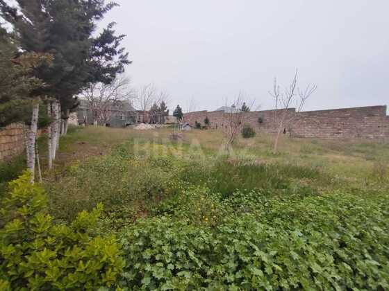 Torpaq Bilgəh q., Bakı
