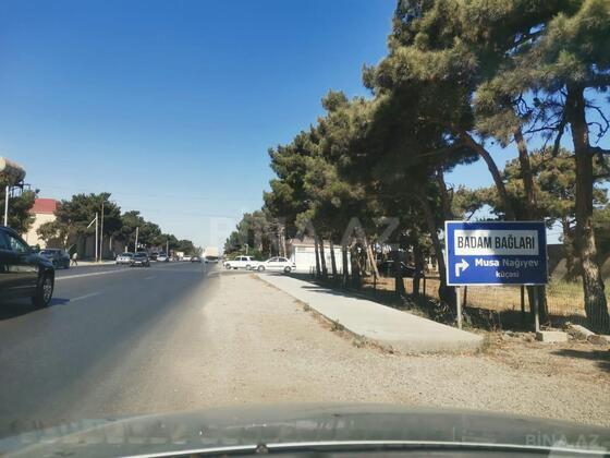 Torpaq Buzovna q., Bakı