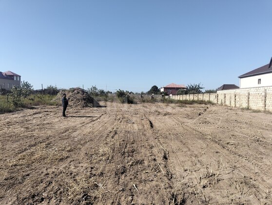 Torpaq Novxanı q., Bakı