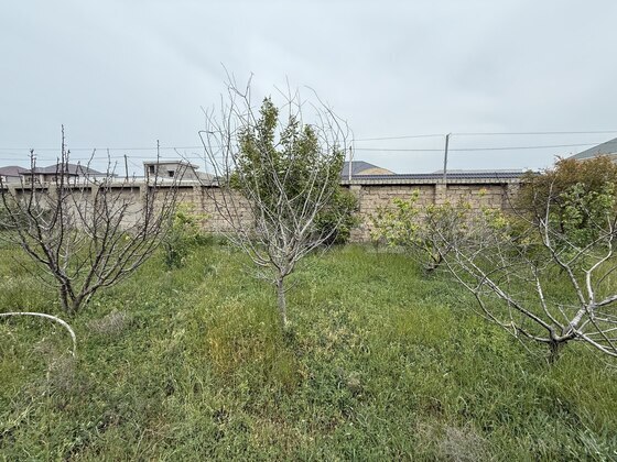 Torpaq Şüvəlan q., Bakı