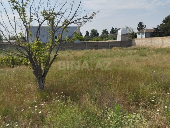Torpaq Bilgəh q., Bakı