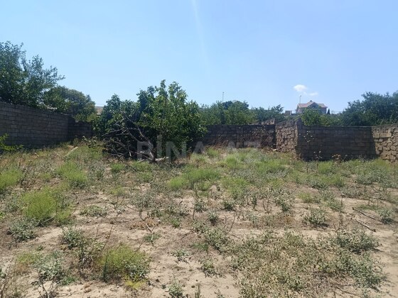 Torpaq Məmmədli q., Bakı