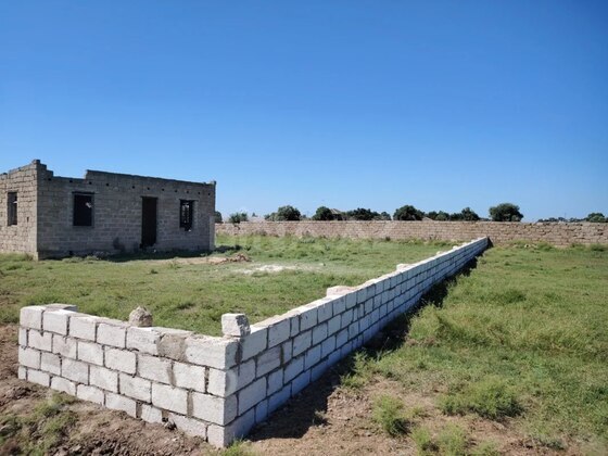 Torpaq Binə q., Bakı