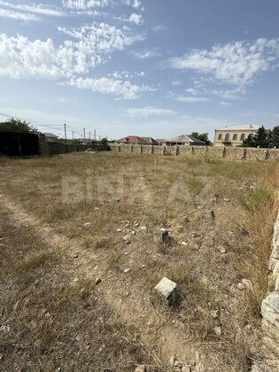 Torpaq Albalılıq q., Bakı