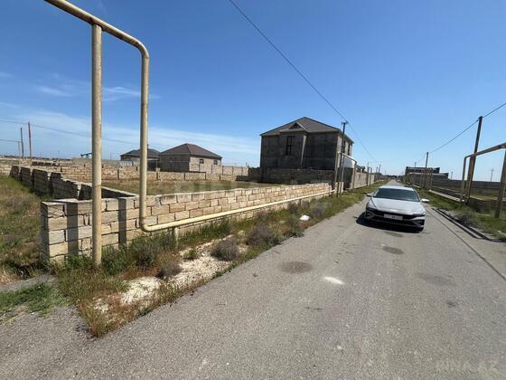 Torpaq Buzovna q., Bakı