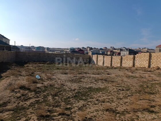 Torpaq Novxanı q., Bakı