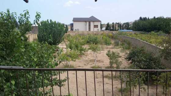Torpaq Novxanı q., Bakı