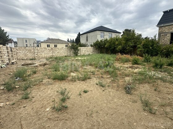 Torpaq Novxanı q., Bakı