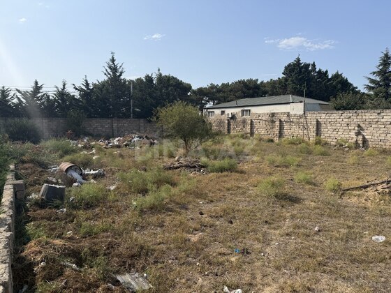 Torpaq Buzovna q., Bakı