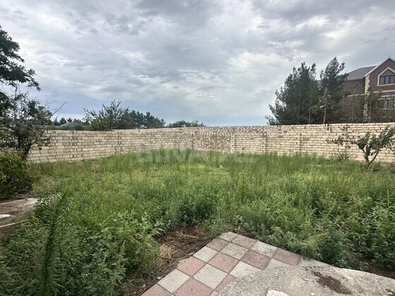 Torpaq Novxanı q., Bakı