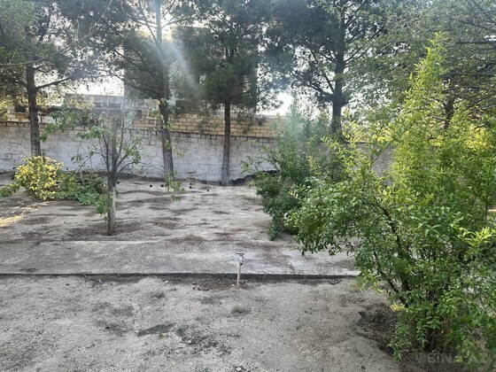 Torpaq Görədil q., Bakı