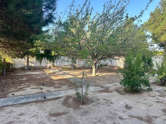 Torpaq Görədil q., Bakı