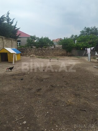 Torpaq Binə q., Bakı