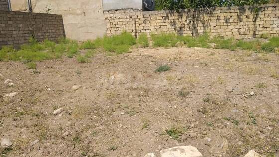 Torpaq Maştağa q., Bakı
