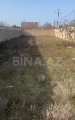 Torpaq Buzovna q., Bakı