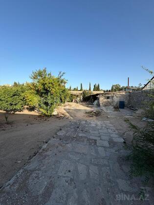 Torpaq Şüvəlan q., Bakı