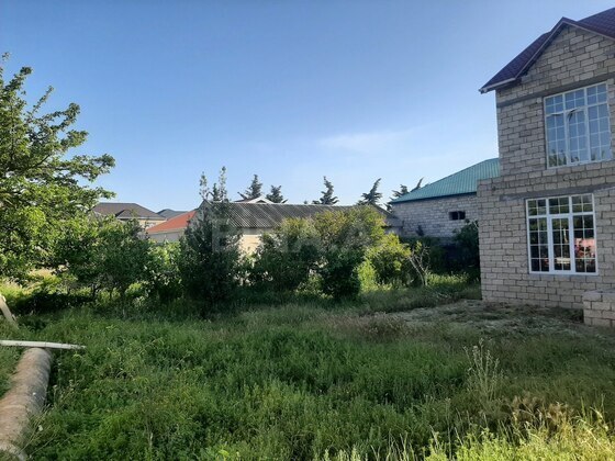 Torpaq Buzovna q., Bakı