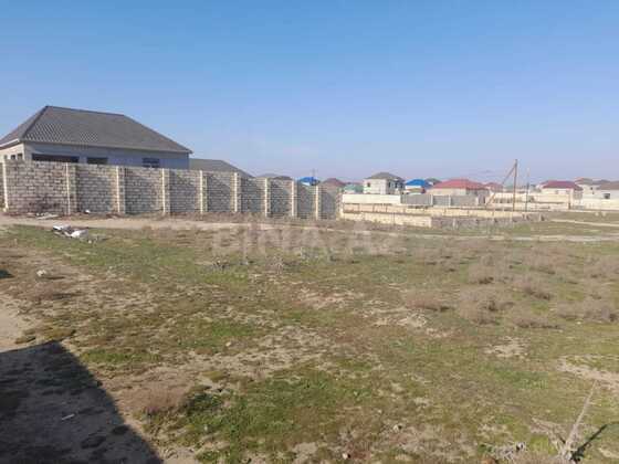 Torpaq Məmmədli q., Bakı