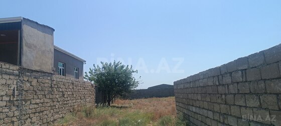 Torpaq Binə q., Bakı