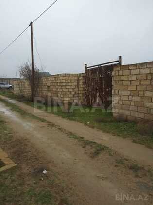Torpaq Pirşağı q., Bakı