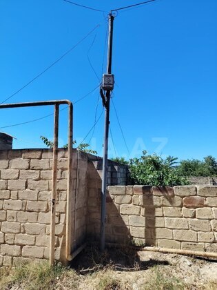 Torpaq Pirşağı q., Bakı