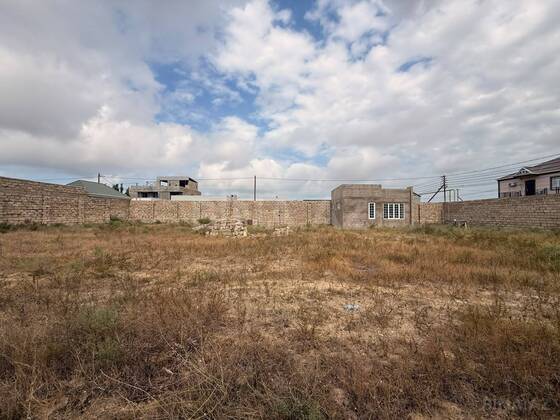 Torpaq Şüvəlan q., Bakı