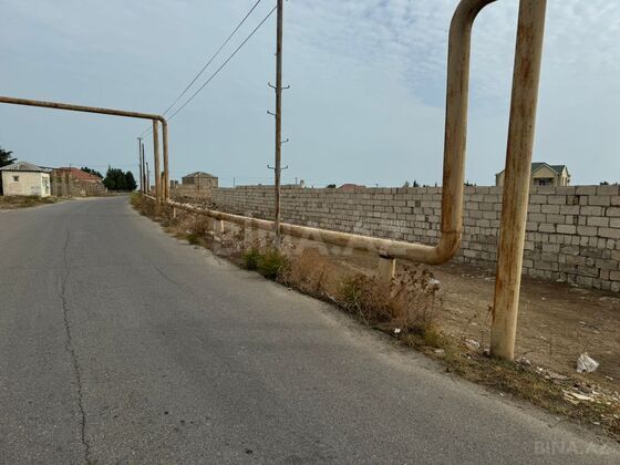 Torpaq Nardaran q., Bakı