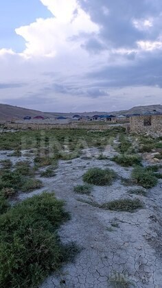 Torpaq Qobu q., Bakı