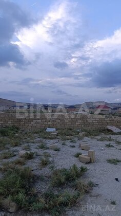 Torpaq Qobu q., Bakı