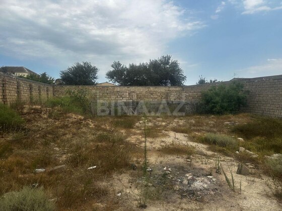 Torpaq Pirşağı q., Bakı