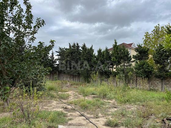 Torpaq Nardaran q., Bakı