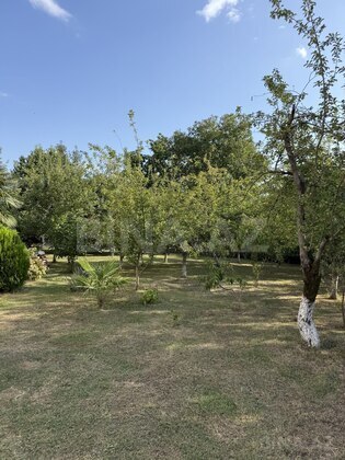 Torpaq İsmayıllı