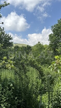 2 otaqlı Həyət evi/Bağ evi, Şəmkir