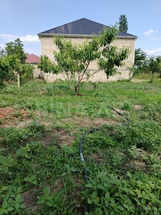 5 otaqlı Həyət evi/Bağ evi, Tərtər