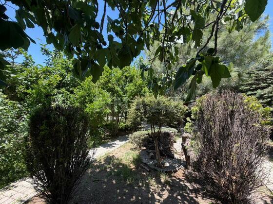 Torpaq Səbail r., Bakı