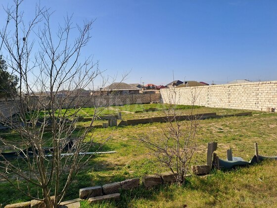 Torpaq Bilgəh q., Bakı