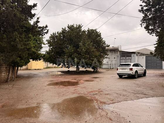 Torpaq Şüvəlan q., Bakı
