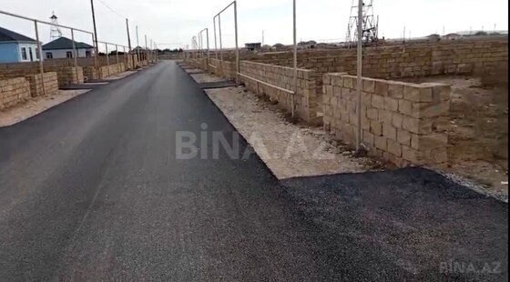 Torpaq Buzovna q., Bakı