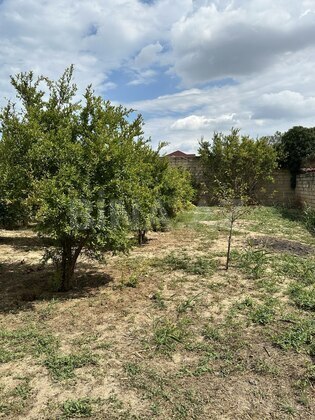 Torpaq Novxanı q., Bakı