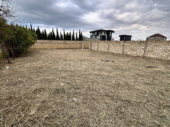 Torpaq Novxanı q., Bakı